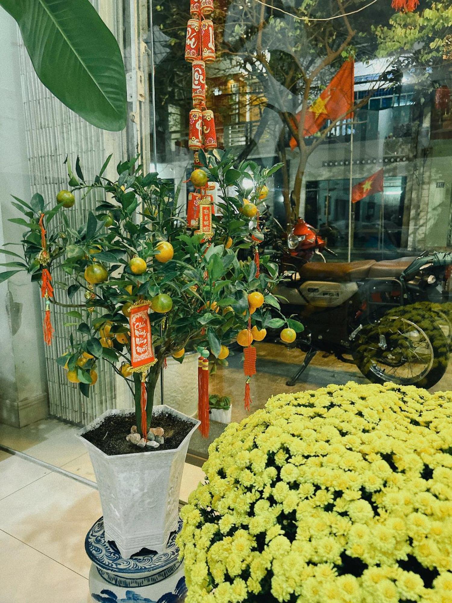 Nang Homestay Туихоа Экстерьер фото